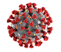 covid-19 virus